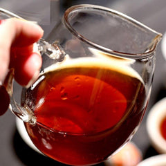 2019 Chinese XinHui "Chen Pi" Shu Puerh Tea Mini Tuo Cha Ripe Puerh Tea 500g