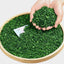 500g Green Tea Bulk Strong Flavour Premium Anxi Tieguanyin Tea New Oolong Tea