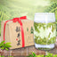 HelloYoung Dragon Well Green Tea Pure Longjing Bulk Green Tea Slimming Tea Health Care 250g