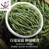 HelloYoung MaoFeng Tea Green High Quality Early Spring Fresh Maofeng Chinese Tea Green 100g