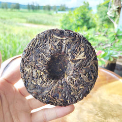 HelloYoung 100g Icelandic Pu'er Tea, Yunnan Mengku Old Tree Cake Spring Pu'er Tea