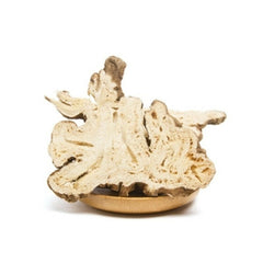 HelloYoung 100% Natural In Bulk Chinese Atractylodes Lancea Rhizome DriedBaizhu Herbal Tea