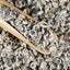 Biluochun China Green Tea Health Yunnan Single Bud Pekoe Tea Chinese Tea