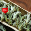 HelloYoung 250g Yunnan White Bud Pu-erh Tea Bai Ya Bao Sheng Puerh Loose Leaf Sheng Puer