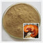 200g Niu Zhang Zhi Organic Antrodia Camphorata Extract 10:1 Powder