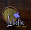 Lobelia Herb Dried Lobelia inflata 500g Apothecary Herbal