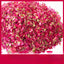 Pingyin Rose Flower Rose Bulk Herbal Tea Dried Rose Petals 500g