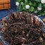 HelloYoung WeiLingXian Chinese Ecology Medicine Tea100%Natural Wei Ling Xian Clematis Root