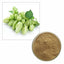 200g Organic Hops Strobile Extract Powder 10:1 | Humulus Lupulus Herb