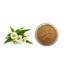500g Organic Chamomile Extract Powder (20:1) - Premium Herbal Supplement