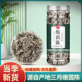 Fresh Artemisia Scoparia Tea Yin Chen Chinese Herbal Tea 50g/bottle
