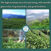High Mount Oolong Tea Alishan Milk Oolong Tea Jinxuan Granules Oolong Tea 250g