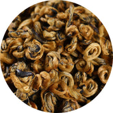 HelloYoung Crested Early Spring Honey Rhyme Gold Screw China Kunming Dianhong Tea Black Tea