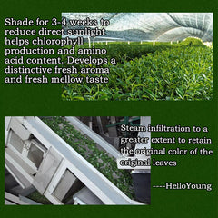 Matcha Green Tea Powder, Premium Matcha Powder Delicious Matcha Latte Powder