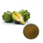 200g Additive-Free Artichoke Extract Powder 30:1 Pure Dietary Supplement