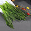 HelloYoung Green Tea Herbal Tea Monkey King China Health Chinese Tai Ping Hou Kui Green Tea