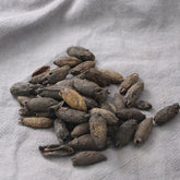 250g Mu Ding Xiang 母丁香, Clove Fruit, Fructus Syzygium Aromaticum, Ji She Xiang