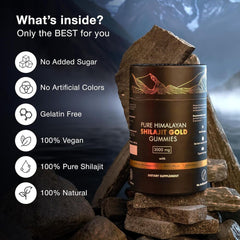 Be Bodywise Pure Himalayan Shilajit Gummies | With Ashwagandha, Gokshura & other
