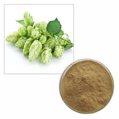 100g Pure Hops Strobile Extract Powder 10:1 Natural Humulus Lupulus Hops