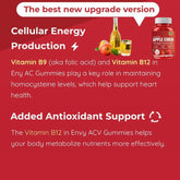 Apple Cider Vinegar Gummies Apple Cider Vinegar Gummies 60 Capsules
