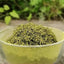 Eucommia Staminate flower tea Folium Eucommia Male Flower Tea Du Zhong Xiong Hua