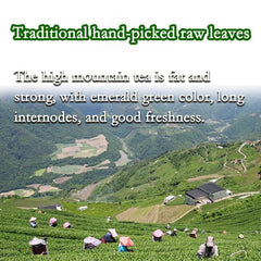 250g Taiwan Jin Xuan Milk Oolong Tea Organic Green Tea Healthy Drink Green Tea