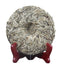HelloYoung 200g Pu'er Tea Cha Single Bud Moonlight White Cake Tea White Hair Silver Needle