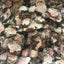 Organic Premium Rhodiola Rosea Root Hong Jing Tian 100% Natural, 50g 红景天
