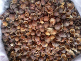 500g Organic Dried Soapberry Shell, Wu Huan Zi Ke
