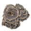 Raw Wholesale Organic Dried Turkey Tail Mushroom 500g