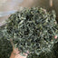 Xinyang Maojian Natural Fresh Green Tea Mao Jian Lossing Weight