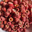 Dried Hawthorn Bulk Pitless Hawthorn Slices Seedless Freeze-dried Hawthorn 500g