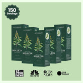 All-natural Ingredients Respiratory Lung Clear Mullein Leaf Extract Drops