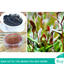 500g Puerh Tea Zijuan Loose Tea Pu'er Black Tea Weight Loss Healthy Drink