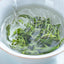 Minggulan Yunwu Maojian Tea Green Tea Spring Good Tea Stir-fried Young Buds 76g