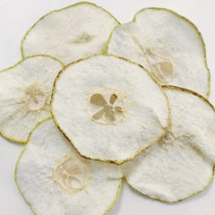 Healthy and Natural Snow Pear Slice Xue Li Pian Dried Fruit Tea Slice