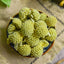 Dried Green Flower Scindapsus Aureus Edgeworthia Chrysantha Makes A Healthy Tea