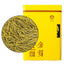 HelloYoungTea 2023 Chinese Huang Jin Ya Green Tea Golden Buds Green Tea 250g/can