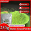 HelloYoung Barley Grass Powder 100% Pure & Organic Organic Barley Grass Powder Pure Organic Barley for Women and Men 250g Contains Iron Vitamin C, & Vitamin E – Non-GMO