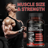 Primaforce Creatine Monohydrate Capsules - 60 Capsules, 3,000mg per Serving