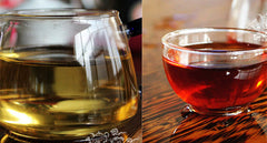 50g Organic Puer Tea 10pcs China Top-Grade cha and Cooked Puerh Tuocha Puerh Tea