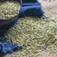 HelloYoung Chinese Refresh Yourself Scented Tea Relieve Headache Green Tea Rosemary Tea