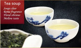 HelloYoung 10 Packs Iron Cans Gift Packing TiKuanYin Green Tea Tie Guan Yin Anxi Oolong Tea