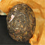 HelloYoung Puer Tuo Cha Cha Green Tea Food Health Care Yunnan Cha Puer Tea Pu-erh Tea 100g