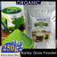 HelloYoung Imported Unsweetened Premium Organic Barley Grass Powder 250g Protein. Great for Juices, Smoothies, Shakes, Yogurts