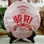 HelloYoungTea Jiao Yang" 2020 Haiwan Old Comrade Blazing Sun Ripe Puerh Shu Puer Tea 357g