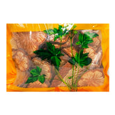 Wawasan Pharmaceuticals Chinese Medicine Drinks Dahuangteng First Grade Chinese Herbal Remedies Chinese Herbal Medicine Store 瓦屋山药业中药饮片 大血藤 一等片 中药材抓配 中药材店铺大全