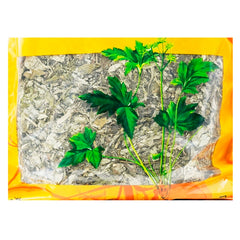 Wawashan Pharmaceuticals Chinese Medicine Drinking Tablets Mugwort Net Prepared Chinese Herbal Medicine Grab & Go Chinese Herbal Medicine Store 瓦屋山药业中药饮片 艾叶 净制 中药材抓配 中药材店铺大全