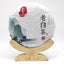 HelloYoungTea 2011 Premium Fuding Shou Mei Aged White Tea Cake 350g