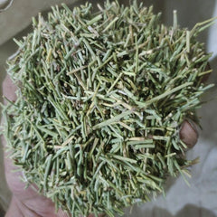 HelloYoung 500 Pure Herbal china Green Tea Wild Tea Health Herbs Huang Tea Loose weight